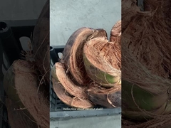 Coconut shell crushing